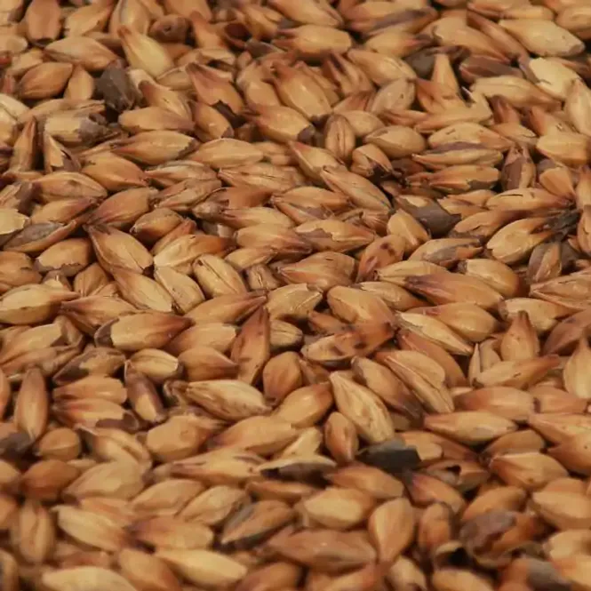 Hovedbilde Special B malt (300 EBC) - Castle Malting