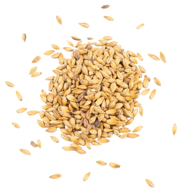 Hovedbilde Ca 60 (50-70 EBC) - Schuema