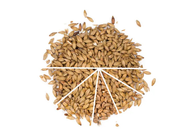 Hovedbilde APA/IPA - Allgrain